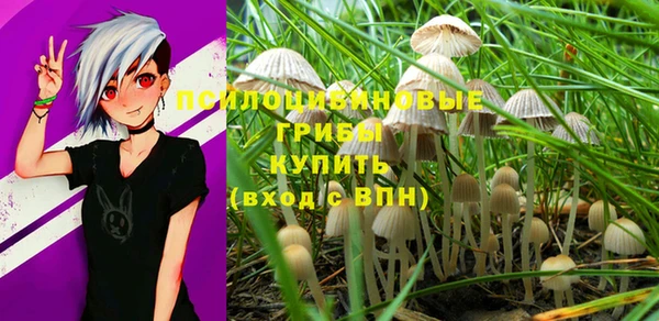 индика Воткинск