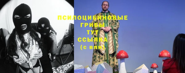 ALPHA PVP Аркадак